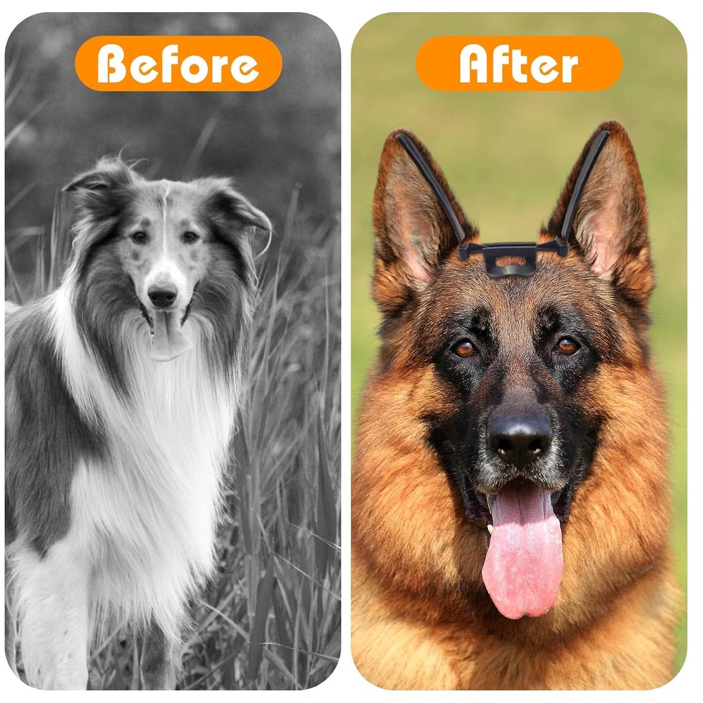 🐶 Dog Ear Stand-Up Support Tool – Adjustable, Comfortable, and Reusable