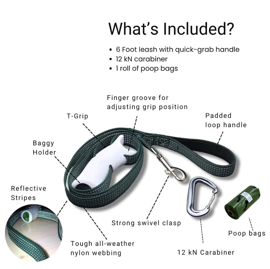 🐾 Instant Control Dog Leash – For Calm Walks, Even in Chaos