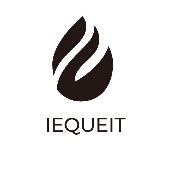 LearnQuest IncLIMITED