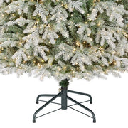 Grand Duchess Twinkling Balsam Fir Slim Flocked Christmas Tree 🎄✨
