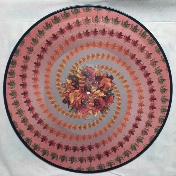 2025 Mint Vinyl Record Limited Edition - Sealed Collector's Piece 🎵✨