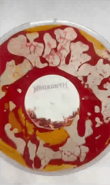 Megadeth - Cremains (Guitar Ash-Filled Deluxe 2LP) ⚡🤘