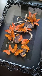 Skeleton & Butterfly Art Piece 💀🦋