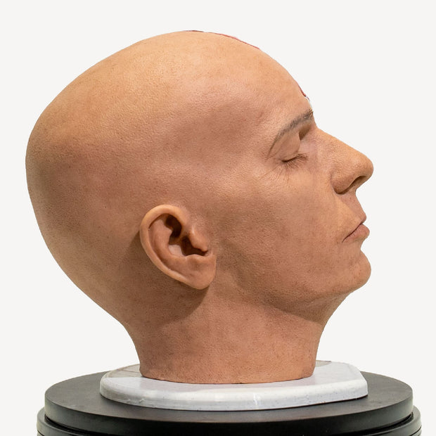 Full Anatomical Head Simulator - PRO Version with Realistic Skull 💀⚡